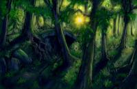 carreas_forest1_redone