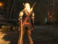 witcher-2009-12-06-18-51-24-53