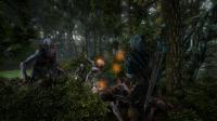 TheWitcher2-AssassinsofKings_Multi_Editeur_078