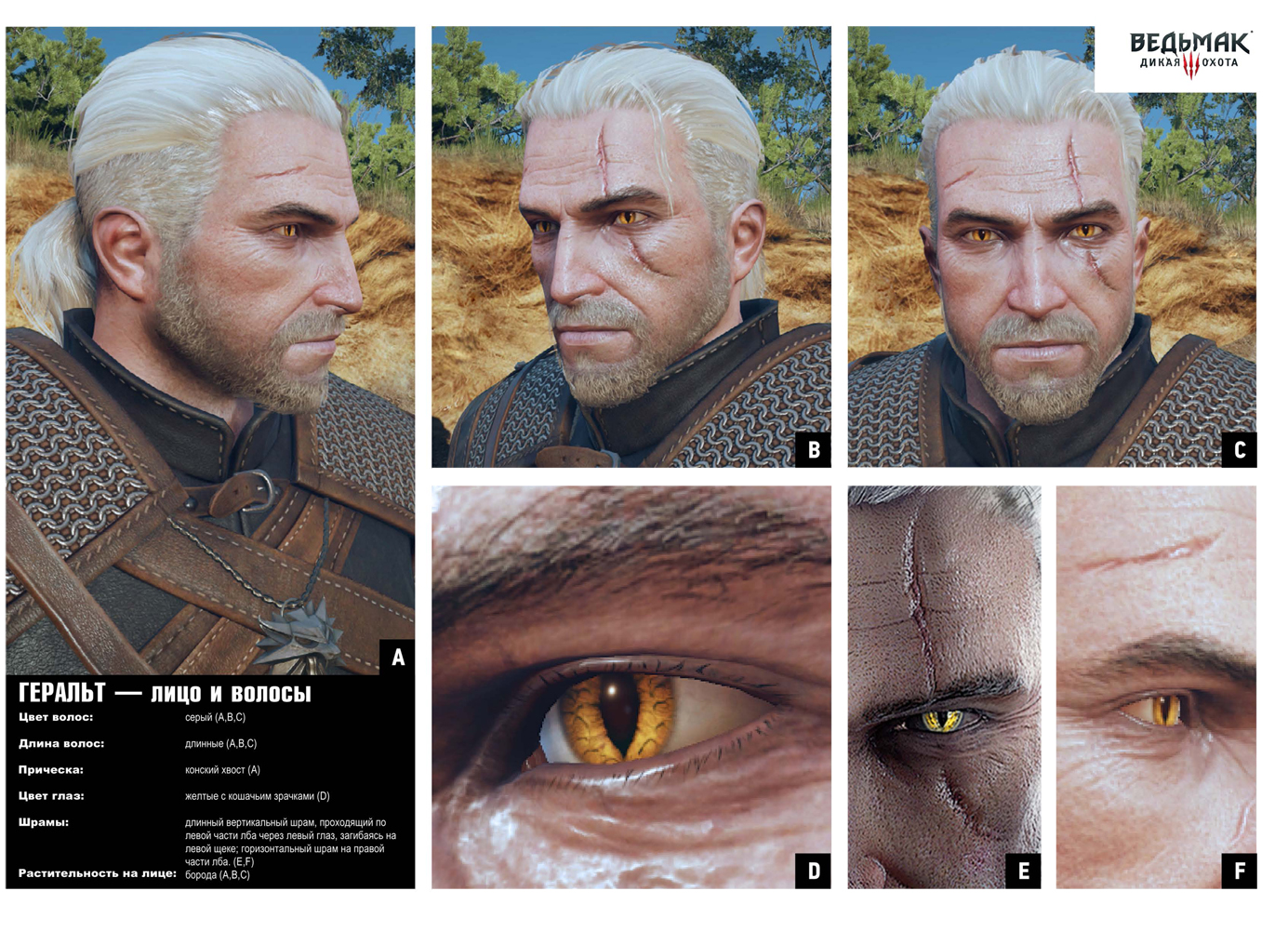 Geralt-rukovodstvo-po-kospleyu-3.jpg