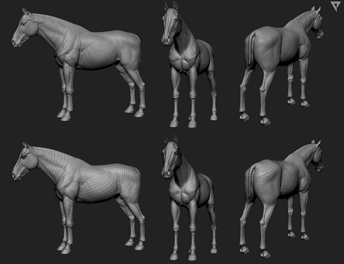 W3_HORSE.jpg
