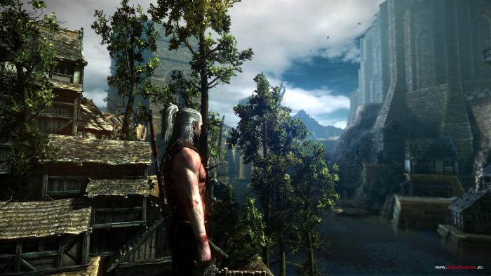 The-Witcher-2-Screenshot-40.jpg