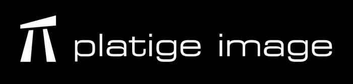 platige_image_logo_horizontal_white.jpg