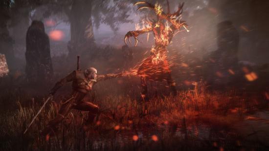 the_witcher_3_wild_hunt_geralt_uses_igni_to_torch_leshen.jpg